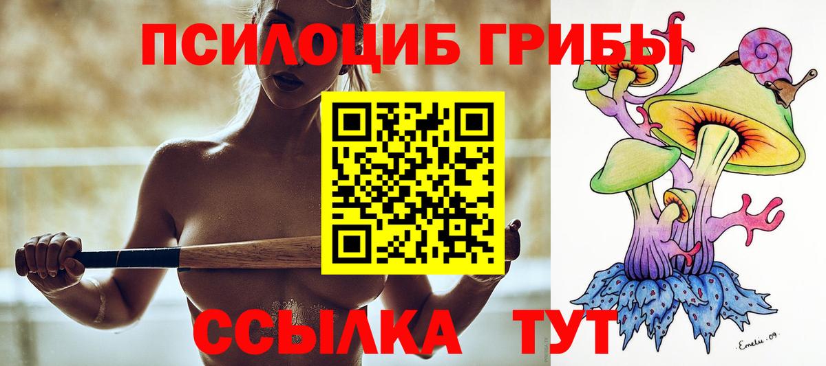 Псилоцибиновые грибы MAGIC MUSHROOMS Сокол