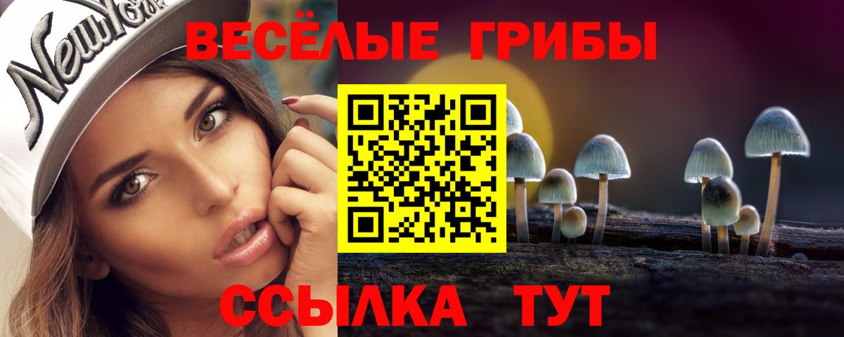 цена наркотик  Псилоцибиновые грибы Psilocybe  Вход с VPN  Сокол  Псилоцибиновые грибы Psilocybe 