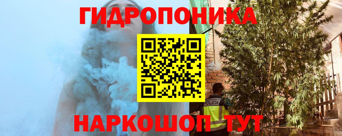Сокол  Шишки марихуана ГИДРОПОН  Вход с VPN  Бошки марихуана сатива 